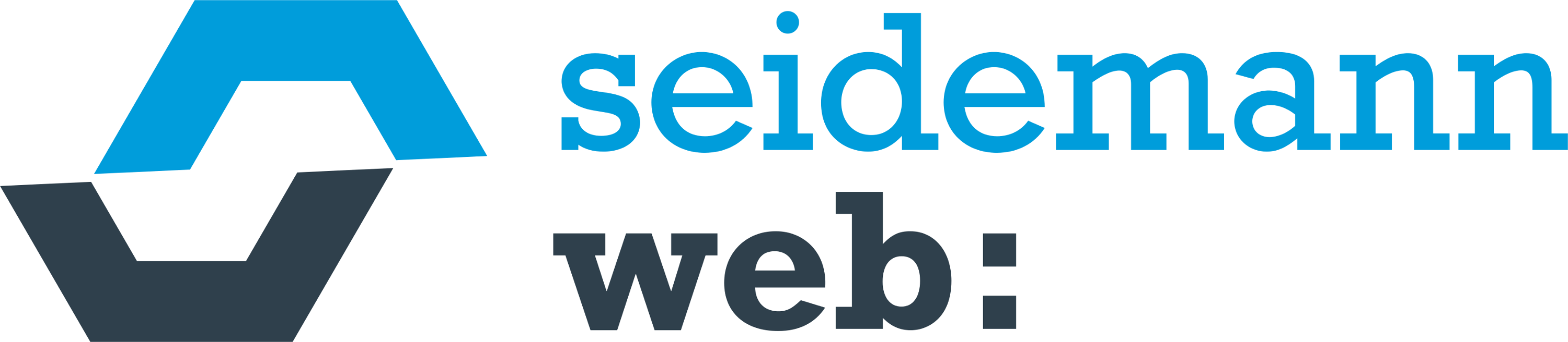 Seidemann Web Logo